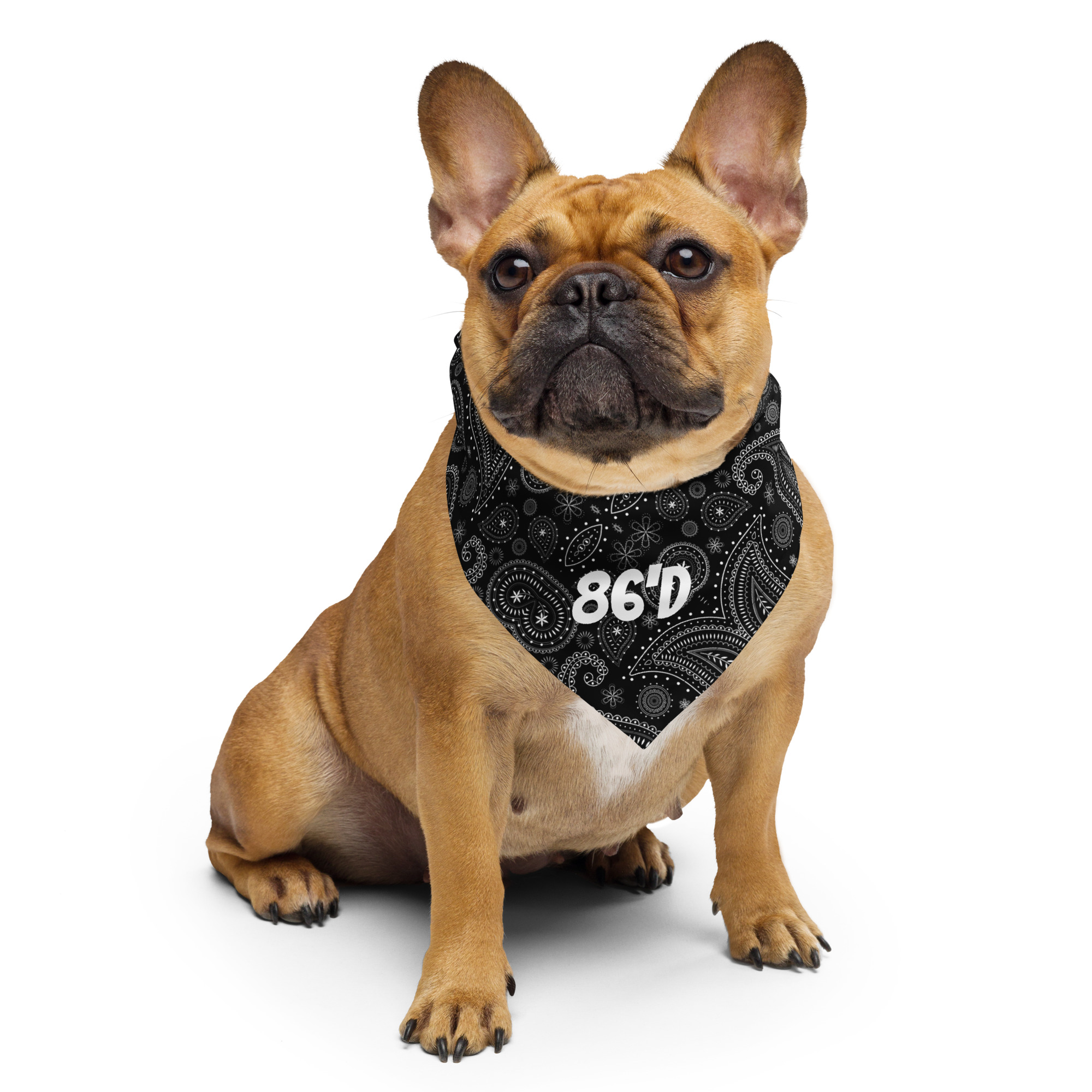 Raze That Bar Bandana - Image 3